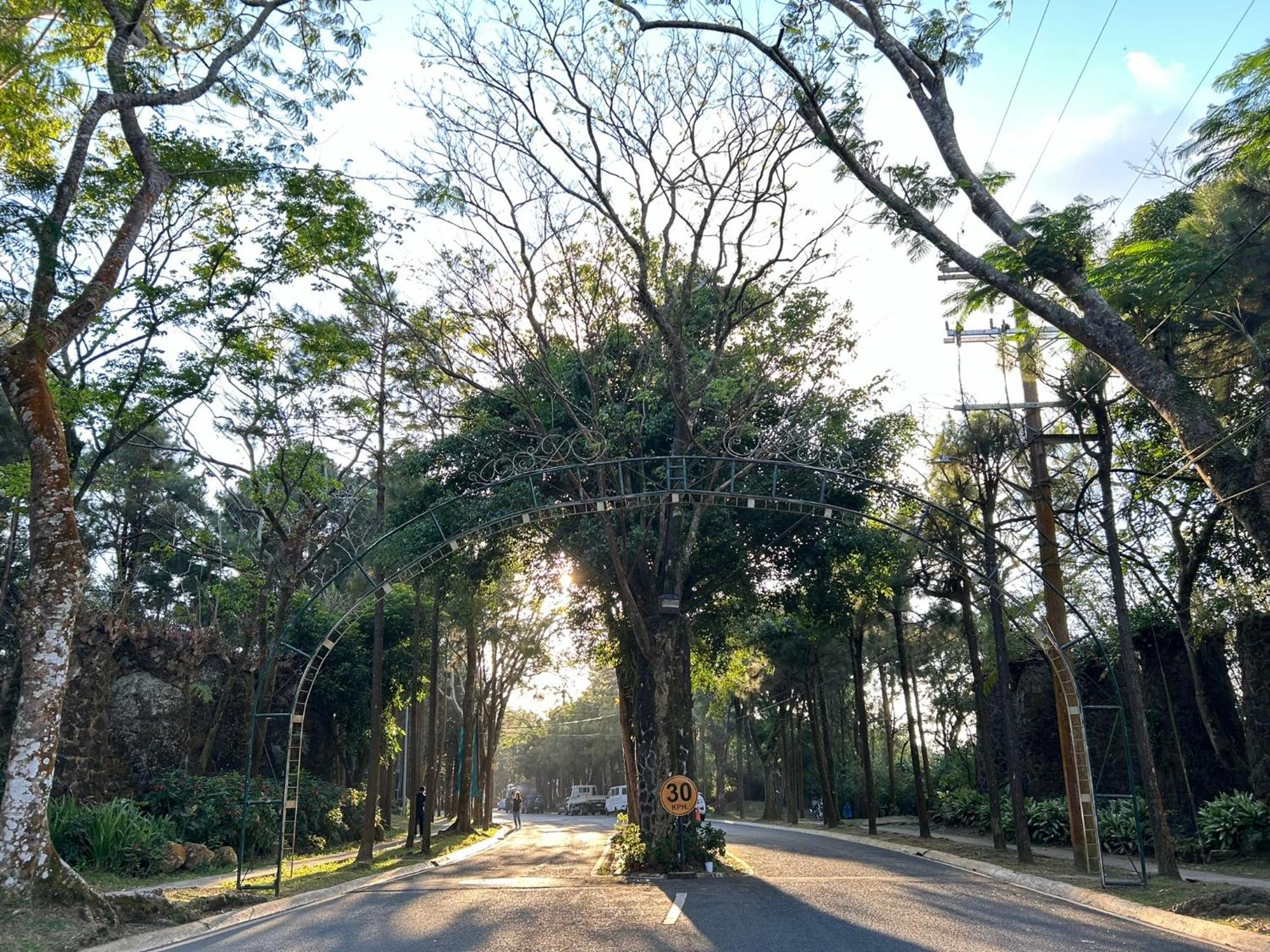 Crosswinds Nature View Suite Tagaytay City Kültér fotó